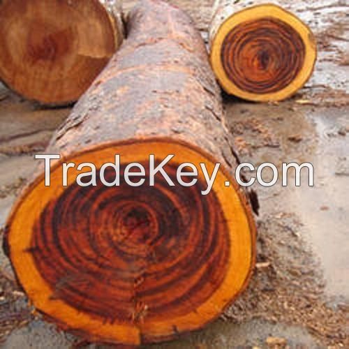 Rosewood Timber Logs
