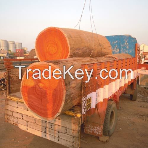 Padouk Hardwood Timber Log
