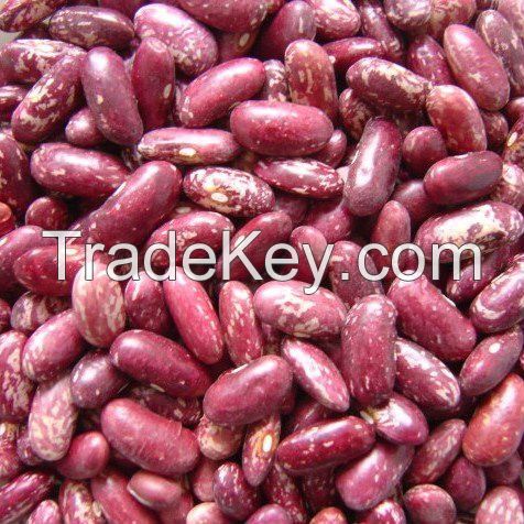 Red Speckled Kidney Beans