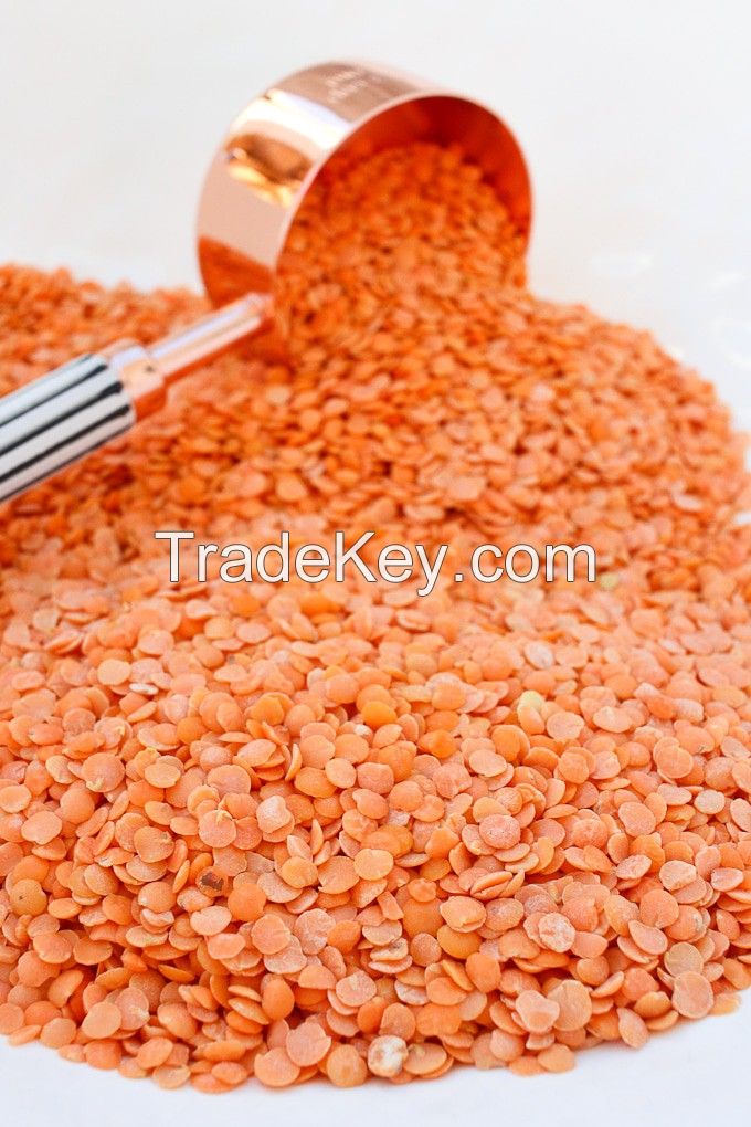 Red Dried Lentils