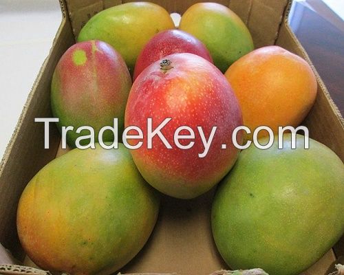 Fresh African Mangoes