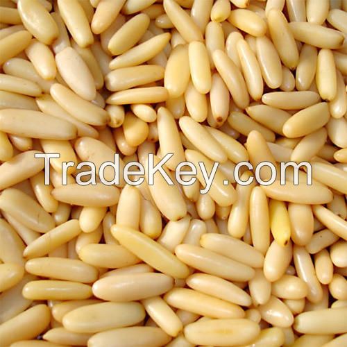 Pine Nut - Chilgoza, Kernal