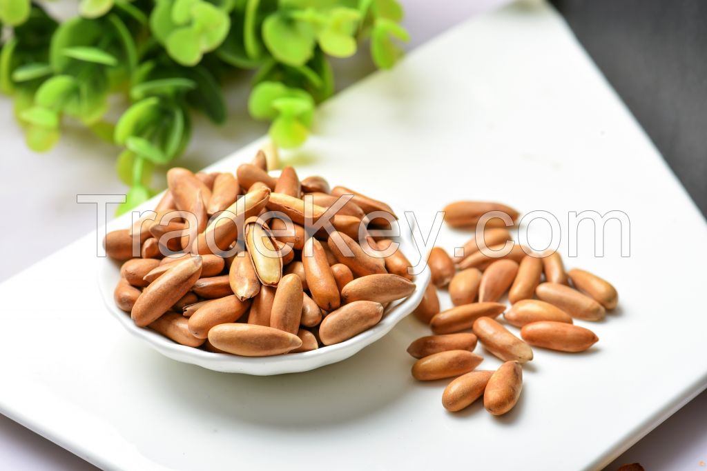 Pine Nut - Chilgoza, Kernal