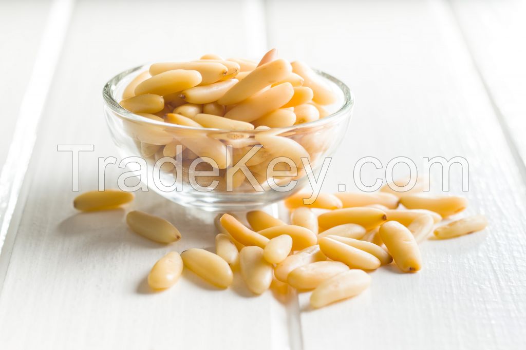 Pine Nut - Chilgoza, Kernal