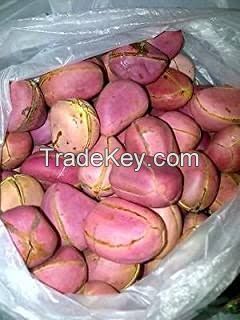 KOLA NUTS