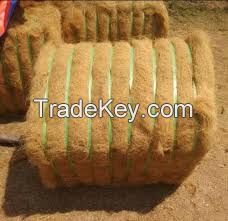 COCO FIBER EXPORT QUALITY