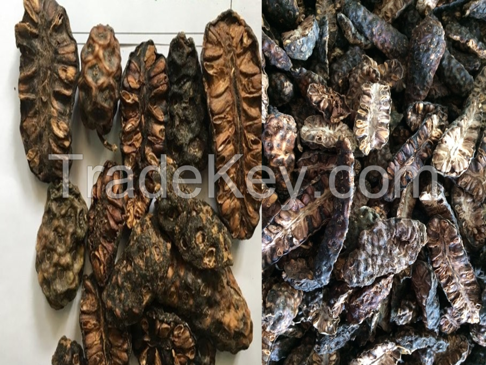 Dried Fruits of Morinda Citrifolia