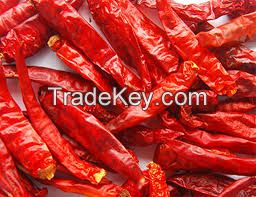 Chilli / dried chilli / red chilli powder