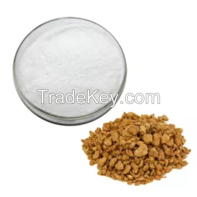 100% Natural Plant Powder Ferula  Asafetida Extract