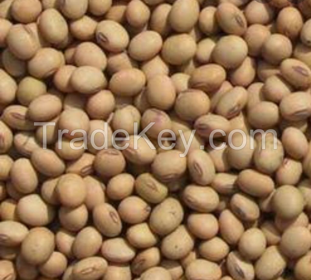 Whole Soybean