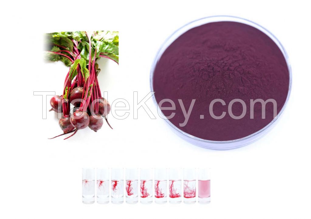 Red pigment extracted from red beet