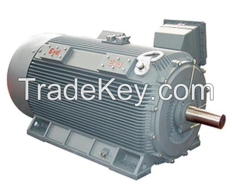 Explosion proof motor