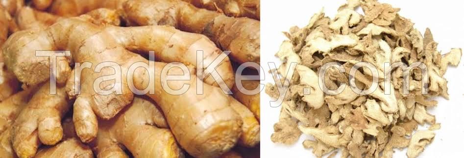 Ginger