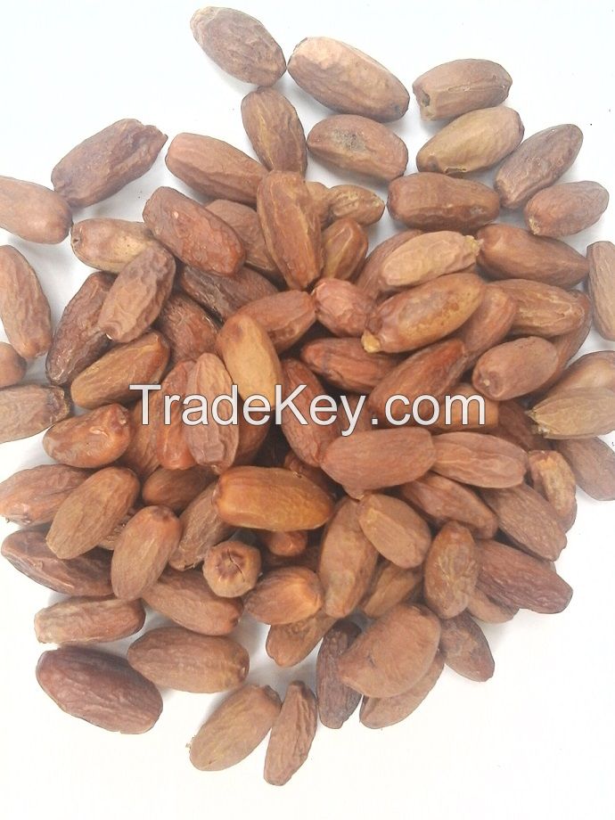 Dry Date fruits