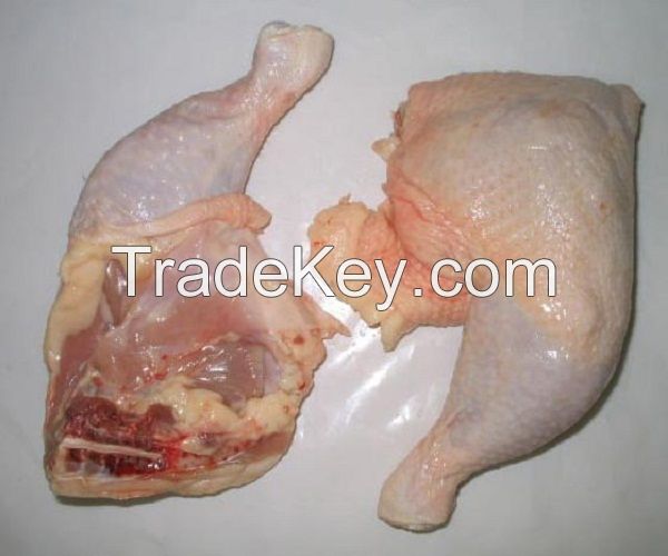 Grade A whole frozen chicken ready for export