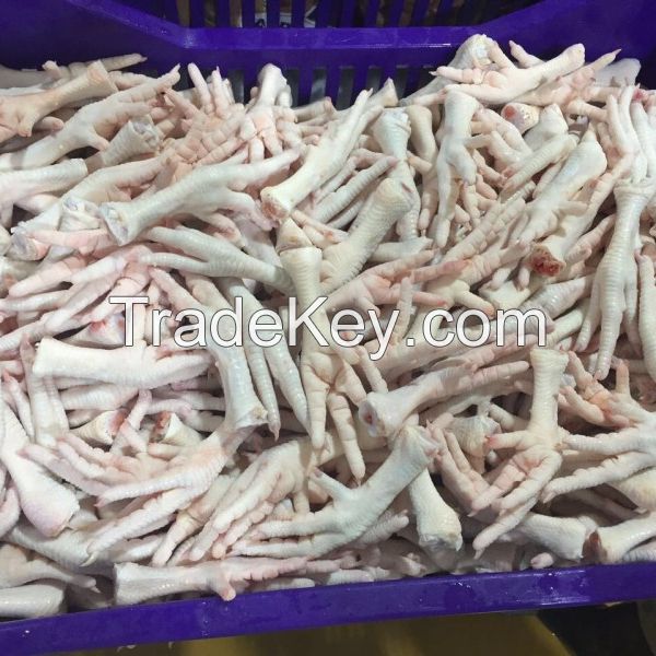 grade AA FROZEN WHOLE CHICKEN AND CHICKEN FEET/PAWS/WINGS