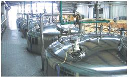 Vacuum Liquid Stirring Machine