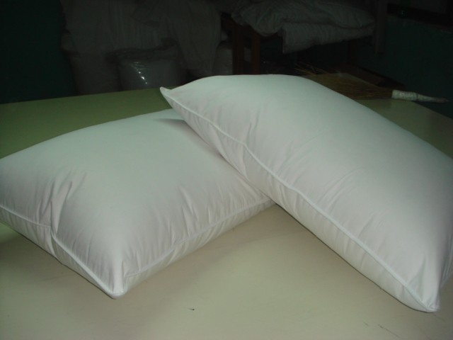 Hypoallergenic down pillows