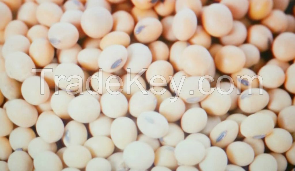 Soya beans