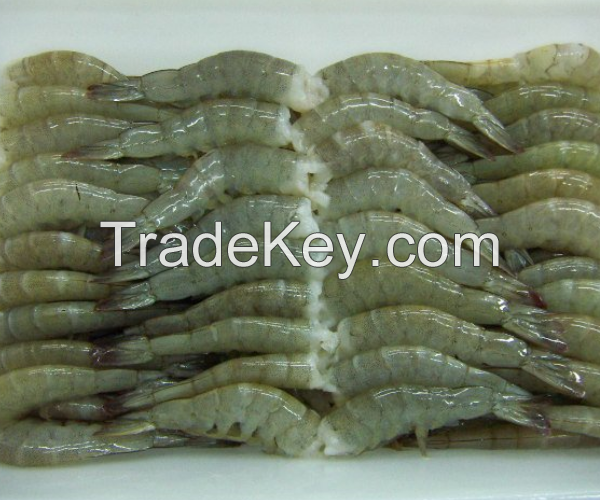 Hot Sale 15% OFF Guarantee Frozen Giant River Shrimp 900gr