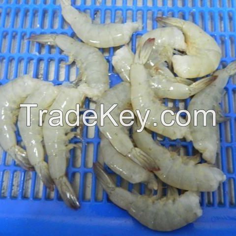 Hot Sale 15% OFF Guarantee Frozen Giant River Shrimp 900gr