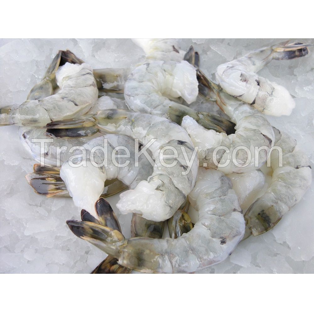 Hot Sale 15% OFF Guarantee Frozen Giant River Shrimp 900gr