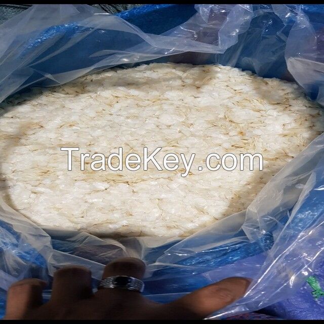 Scale for collagen/ Dry Fish Scale from Viet Nam with high quality