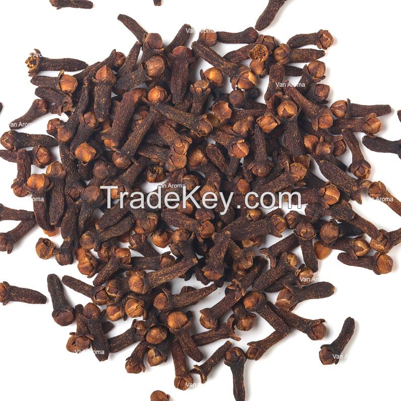 Clove Bud Oil (CL-380)