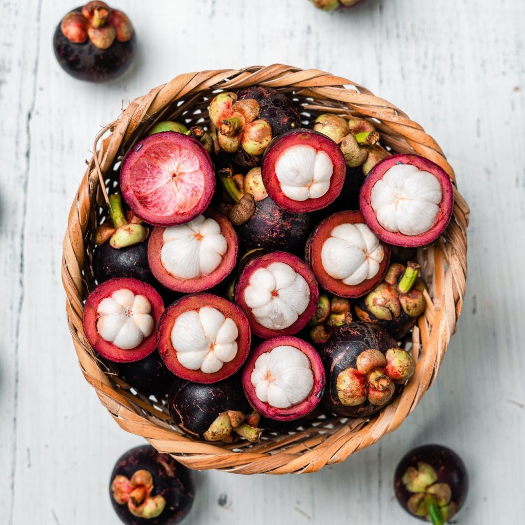 Mangosteen