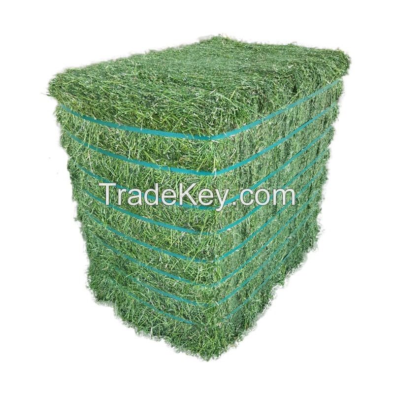 Alfalfa Hay Bales