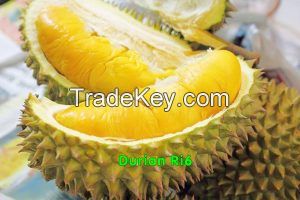 DURIAN