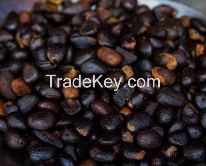 Palm Kernel Nut