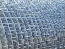 Welded Wire Mesh