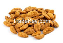 Almond 