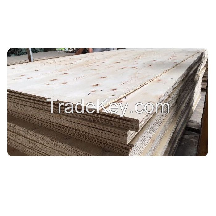 Packing Plywood For Package, Logistic, Transportation and Construction 