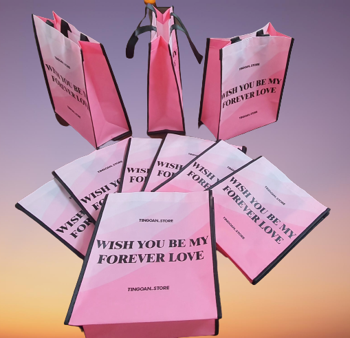 Nonwoven Gift Bags for Retail Clothing Store