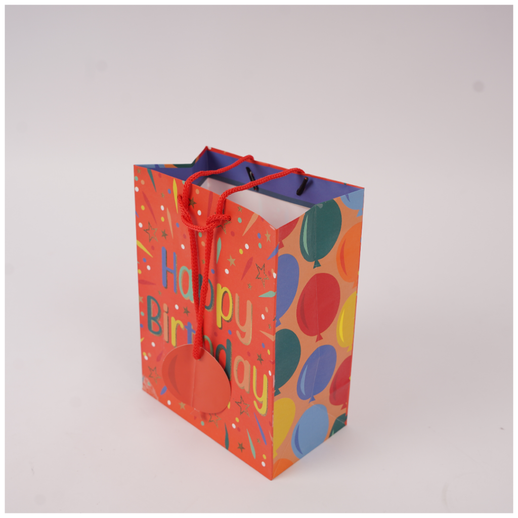 Paper Gift Bags with Custom Design for Retail Gift Stores