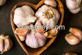 Garlic