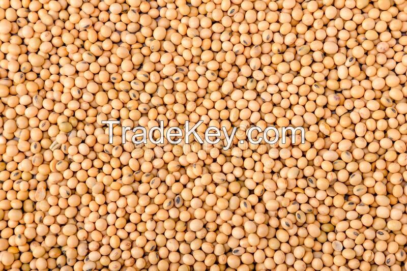 Soya Beans