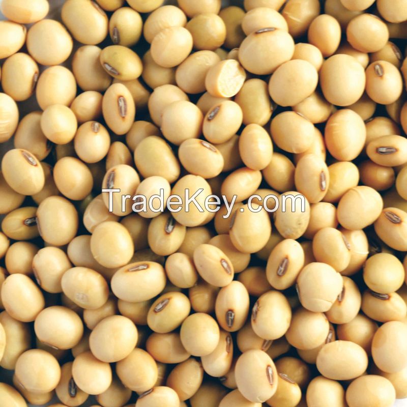 Soybeans