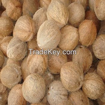 Cheap Price Fresh Mature Semi Husked Coconut