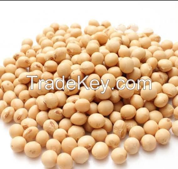 Soya bean