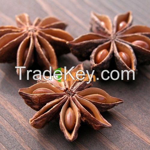 BEST PRICE FROM VIETNAM NATURAL STAR ANISE / STAR ANISEED / STAR ANISE SEED