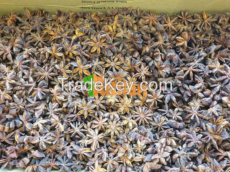 BEST PRICE FROM VIETNAM NATURAL STAR ANISE / STAR ANISEED / STAR ANISE SEED