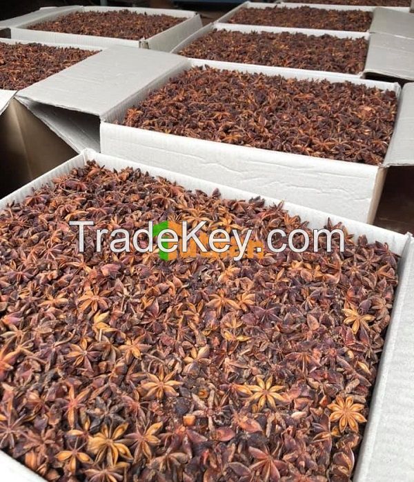 BEST PRICE FROM VIETNAM NATURAL STAR ANISE / STAR ANISEED / STAR ANISE SEED