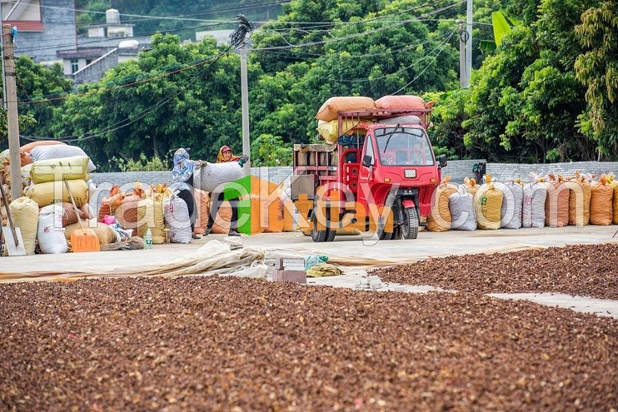 BEST PRICE FROM VIETNAM NATURAL STAR ANISE / STAR ANISEED / STAR ANISE SEED