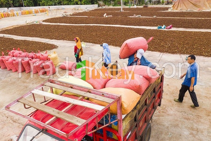 BEST PRICE FROM VIETNAM NATURAL STAR ANISE / STAR ANISEED / STAR ANISE SEED