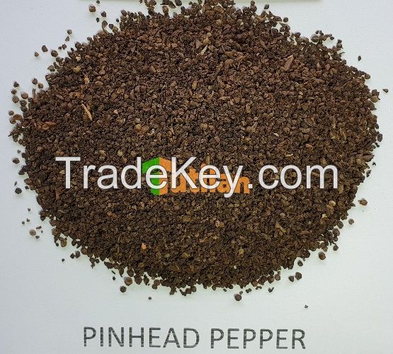 BEST PRICE FROM FACTORY FOR PURE QUALITY BLACK PEPPER 500GL 550GL 5MM (+84915211469)