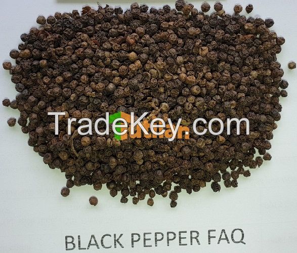 BEST PRICE FROM FACTORY FOR PURE QUALITY BLACK PEPPER 500GL 550GL 5MM (+84915211469)