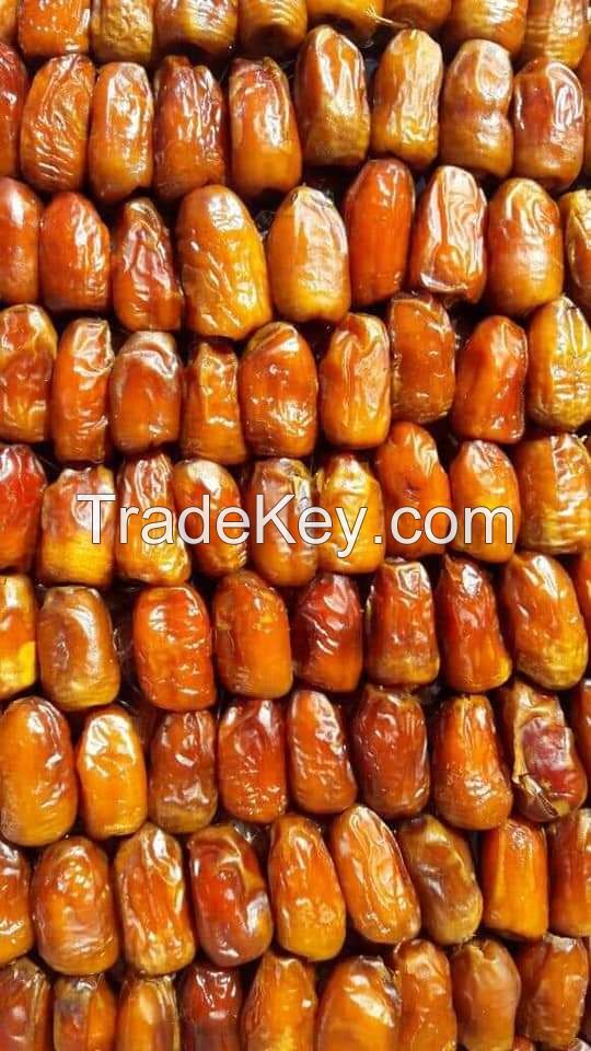 Fresh Dates, Semi dry dates, dried dates